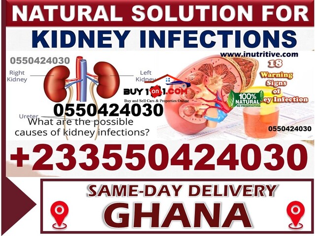 Natural Remedy for Kidney Disease in Accra - 2