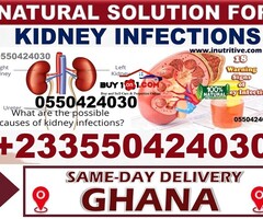 Natural Remedy for Kidney Disease in Kumasi - Image 4