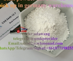new bmk powder cas 5449-12-7 in germany warehouse