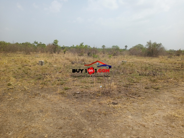 Peaceful and Affordable Lands For Sale - 2