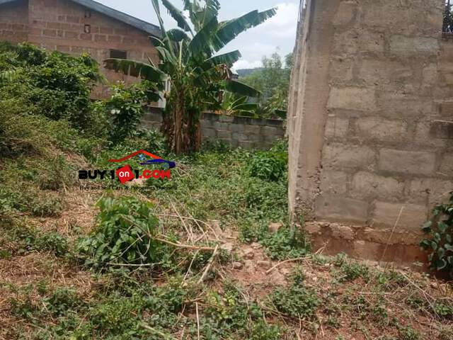 Land with Building for sale - 3